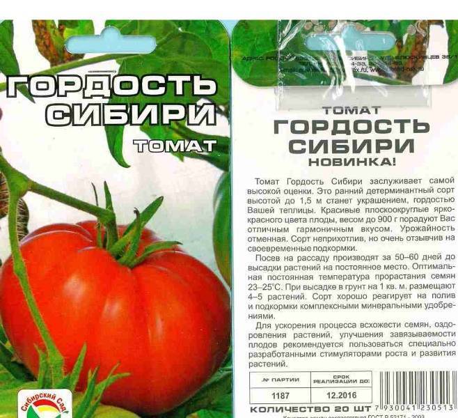 Описание томата Гигант Сибири: характеристики и выращивание