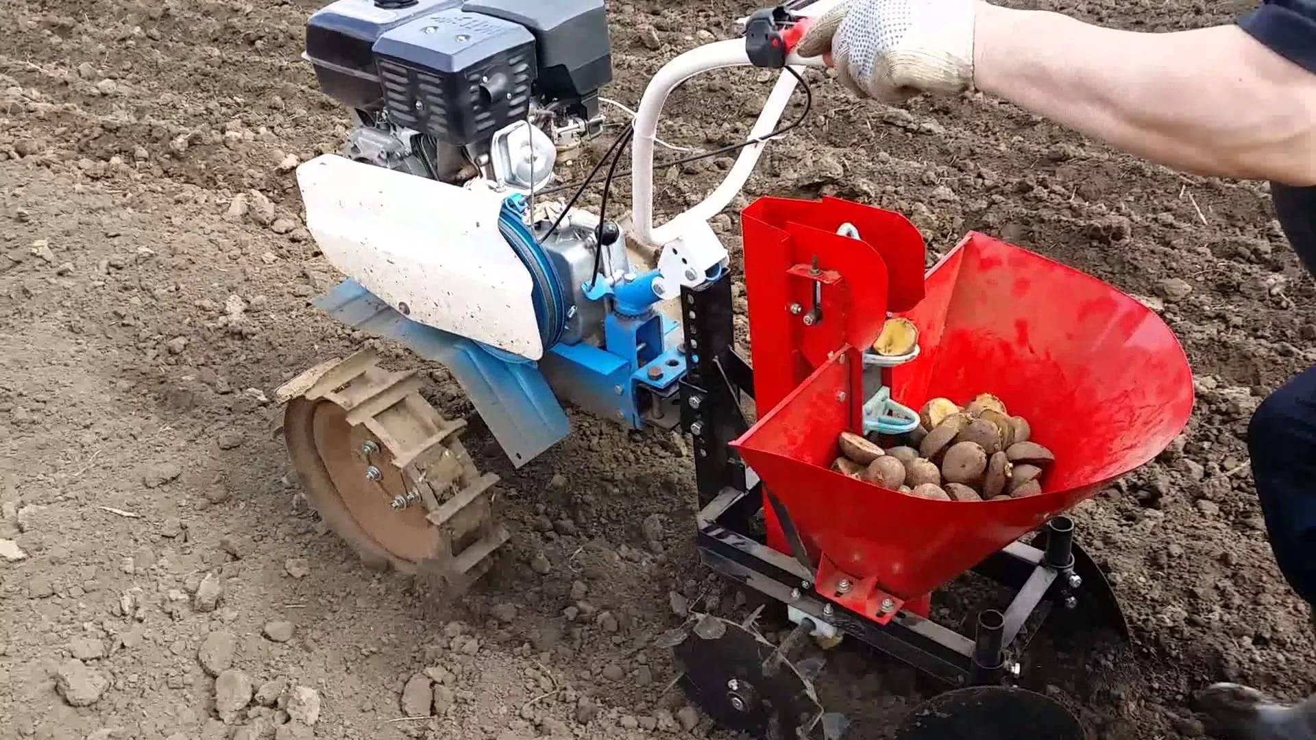 Как делается посадка картофеля мотоблоком с окучником, видео