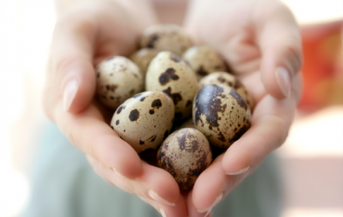 Перепелиные яйца – уникальный комплекс здоровья! - будь здоров!