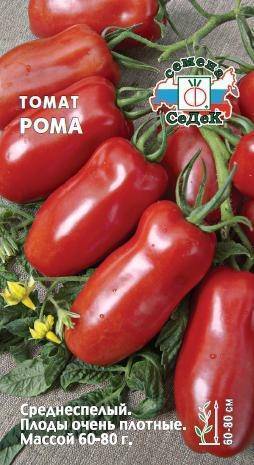Томат «рома»: описание и характеристика, выращивание, фото
