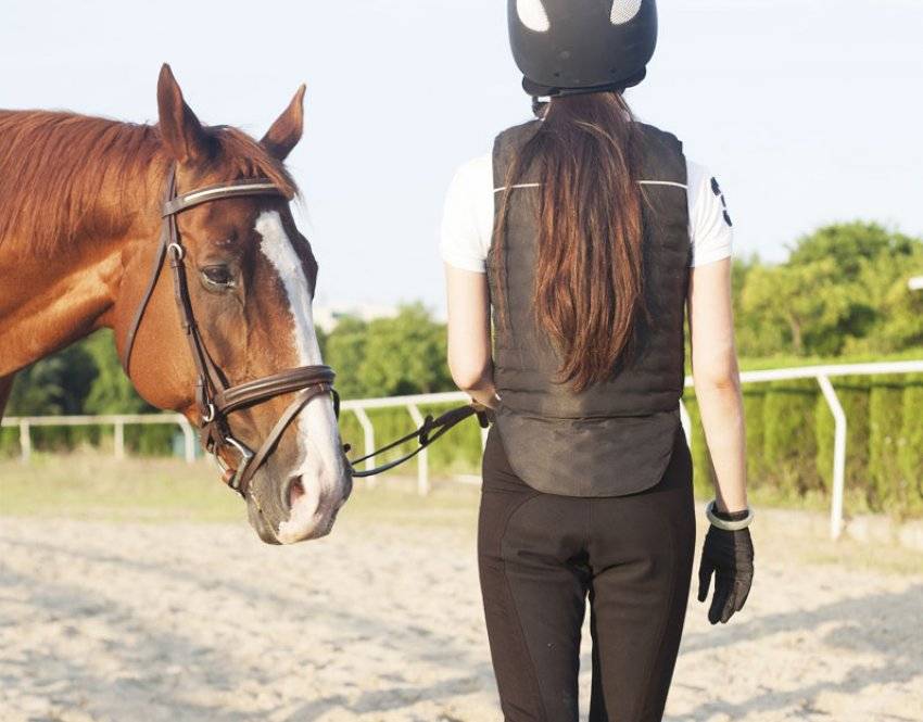 Как правильно кататься на лошади верхом: основные правила, обучение, где научиться, место для езды, английский стиль