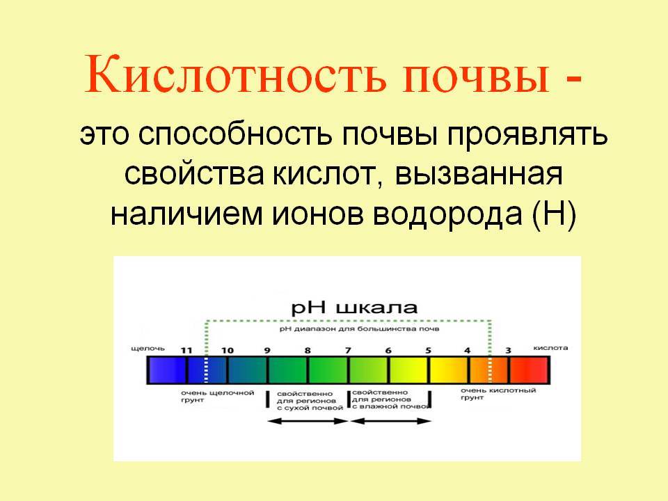 Как узнать пониженную кислотность. Растения индикаторы кислотности почвы щелочной. Шкала кислотности PH почвы. Таблица определения кислотности почвы. Кислотность в почве PH 5.5.