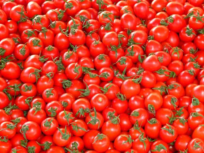 Как сохранить помидоры свежими — несложные проверенные способы