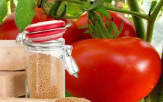 Как подкормить помидоры дрожжами – какие использовать, их польза, когда лучше применять?