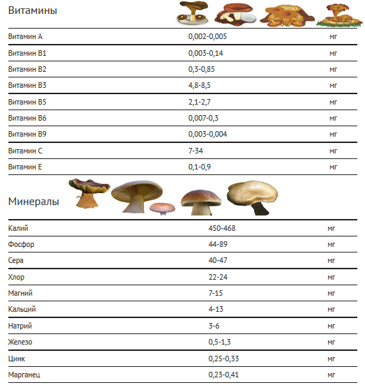Витамины в грибах