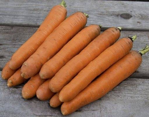 Отзывы о моркови сорта балтимор f1