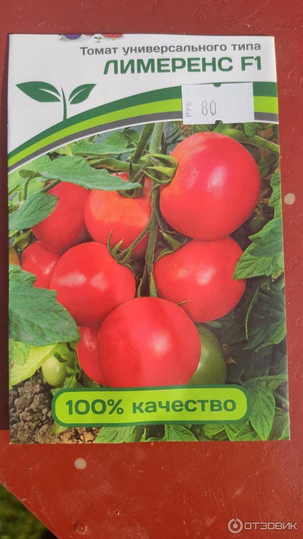 Выращивание помидоров по маслову – увеличение урожая в 8 раз: описание метода, особенности подготовки почвы и семян томатов, а также инструкция по посадке и уходу