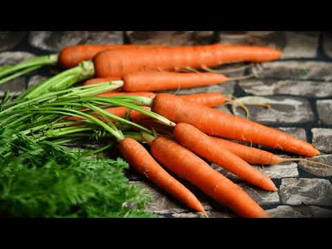 Посадка моркови под зиму: когда сеять, сроки, календарь