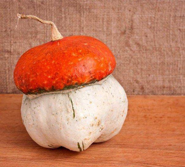 Декоративная тыква чалмовидная "красная шапочка": можно ли кушать, фото грибка