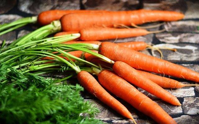 Посадка моркови под зиму - сроки посадки, сорта моркови