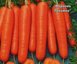 Сорта сладкой и сочной моркови