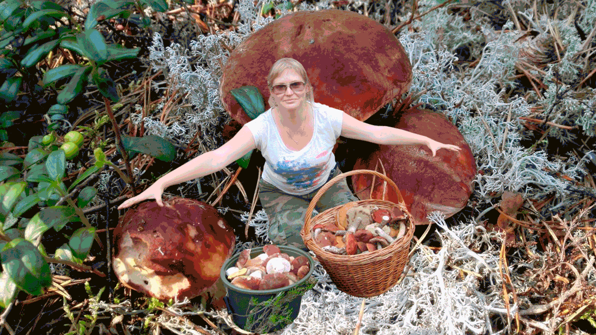 Виды грибов в Казанской области