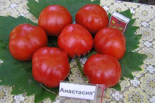 ᐉ томат "анастасия": полное описание сорта и особенности выращивания, характеристики помидоров и фото - orensad198.ru