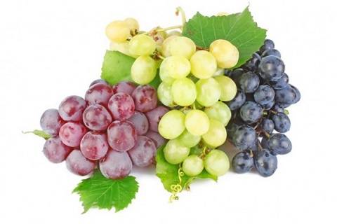 Идеальный виноград: лучшие темные сорта