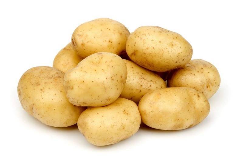 Сорт картофеля гала: описание, особенности, отзывы, фото