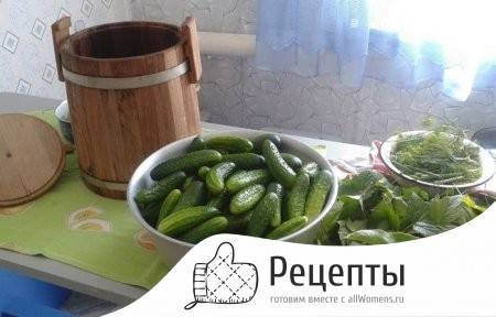 Засолить огурцы на зиму холодным способом рецепт с фото фоторецепт.ru