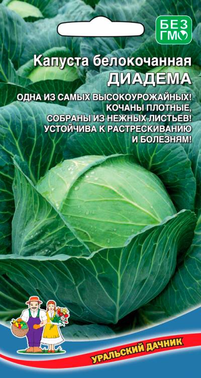 Брокколи грин мэджик f1: описание капусты, отзывы, правила и особенности выращивания от посева до сбора и хранения урожая