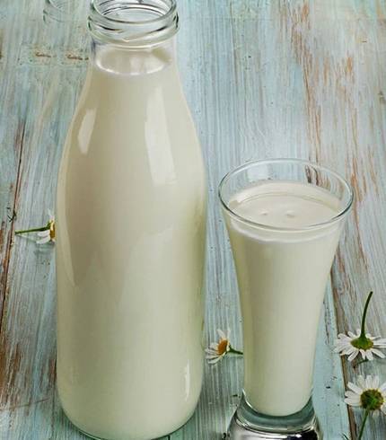 Овечье молоко: полезные свойства и вред | польза и вред