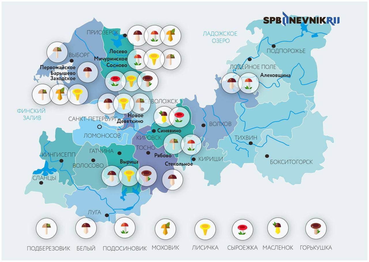 Карта грибных мест карелии