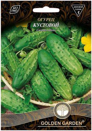Кустовой огурец — правила выращивания самых популярных сортов и особенности посадки в открытый грунт (120 фото)