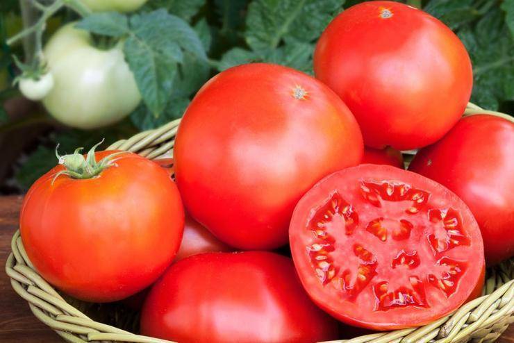 Как правильно собрать семена томатов для рассады