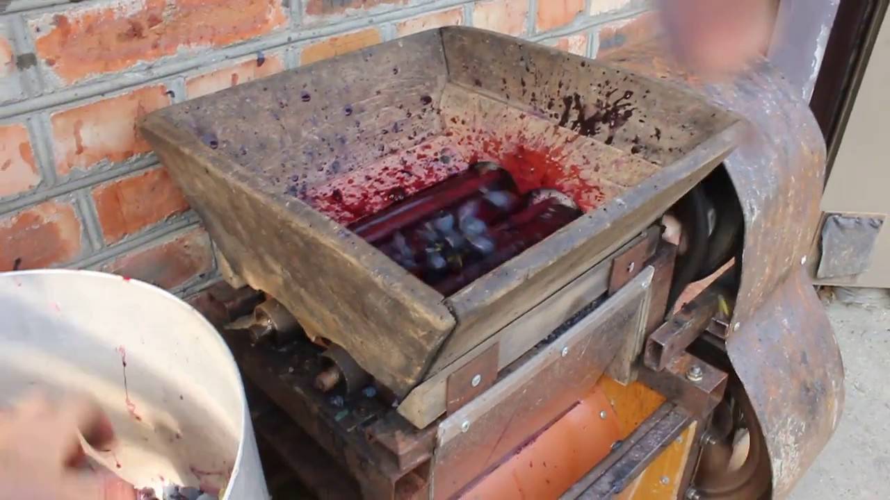 Простейший кильчеватор для винограда своими руками из подручных средств + видео
