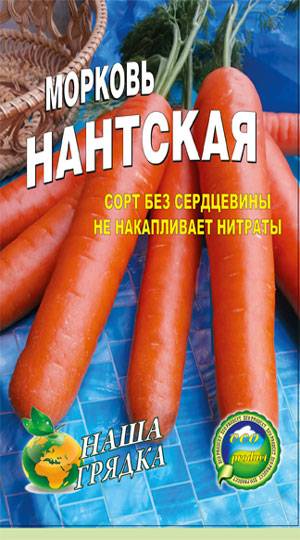 Морковь витаминная 6: полная характеристика и описание сорта, история селекционирования и выращивание, а также достоинства и недостатки, сбор и хранение урожая русский фермер
