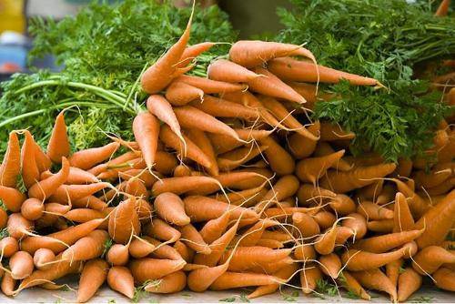 Чем подкормить морковь после всходов народными средствами
