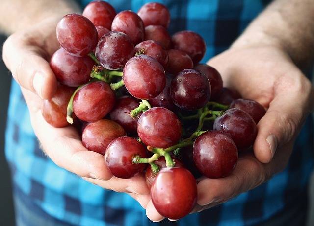 Сколько килокалорий в зеленом винограде