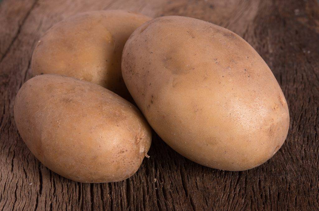 10 лучших сортов картофеля — рейтинг 2020 года (топ 10)