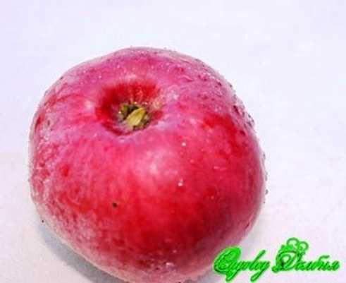Яблоня сладкая нега: описание сорта и характеристики, регионы выращивания с фото