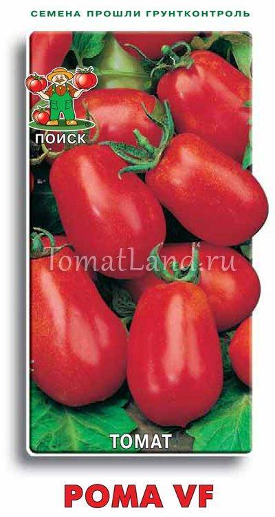Низкорослые помидорчики сорта рома можно выращивать даже на подоконнике