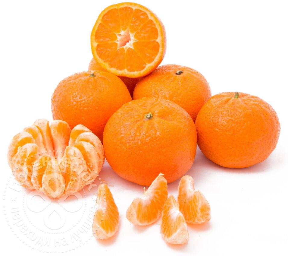 Сорта мандаринов: как называются, описание