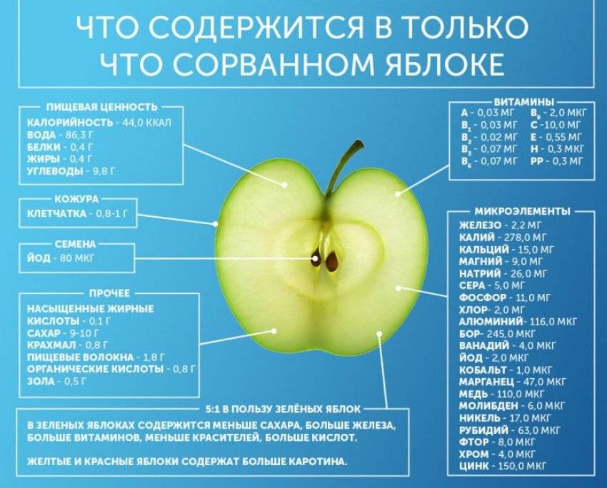 Яблоко – это фрукт, ягода или овощ