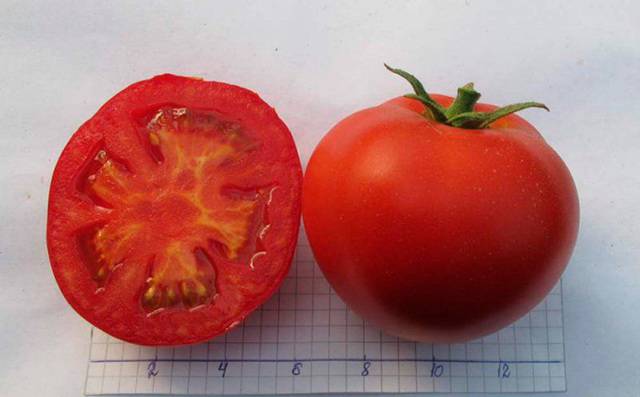 Томат «жонглёр». описание сорта: характеристика урожайности и агротехника посадки, ухода и выращивания помидора (фото)