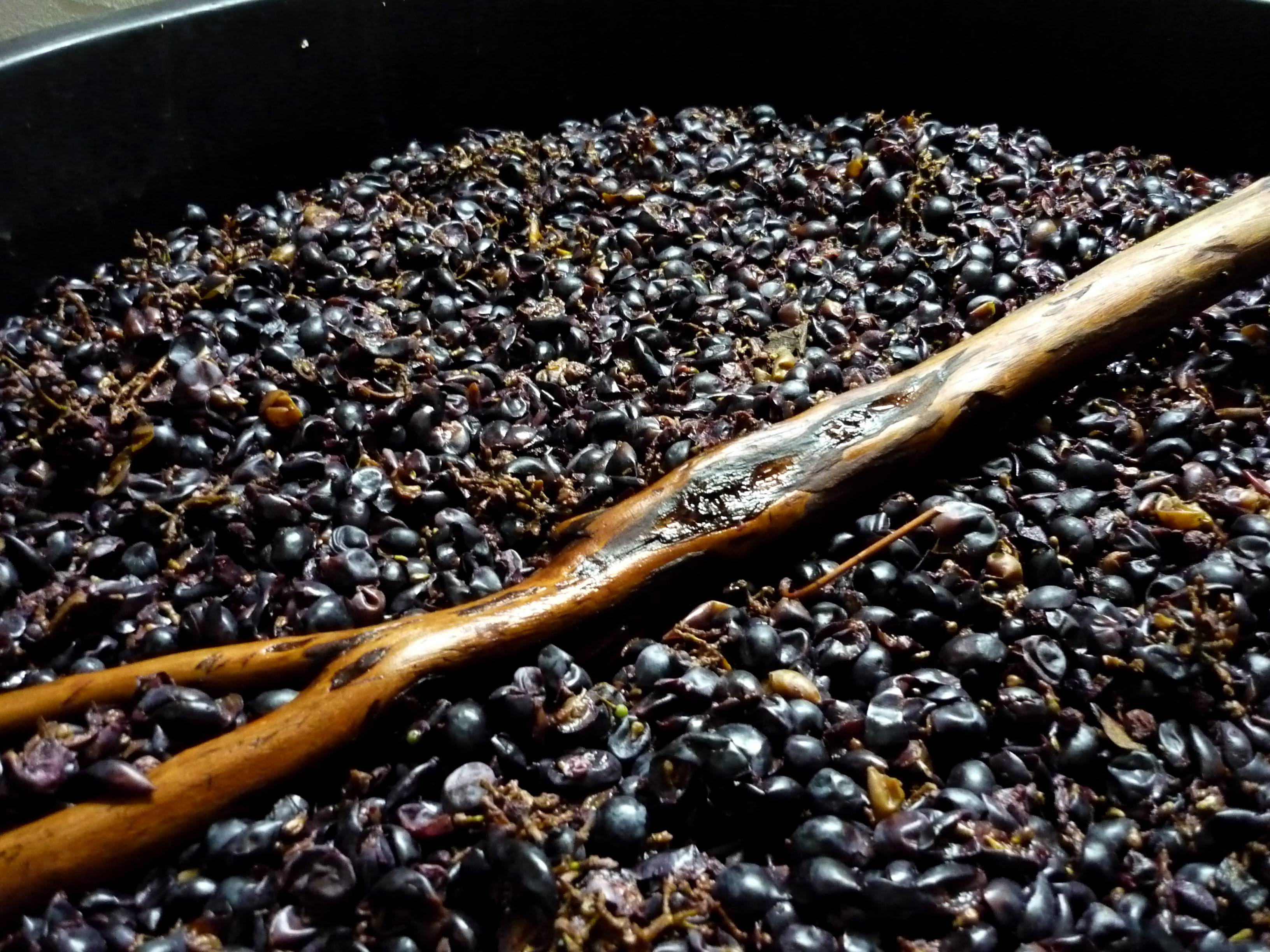 Приготовление сусла для домашнего вина (часть 2): советы по домашнему вину и виноделию от «доктор градус»