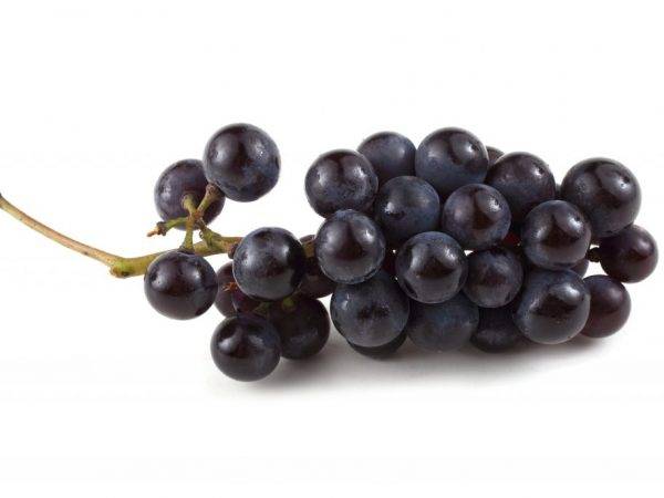 Сколько калорий в винограде, можно ли его есть при диете