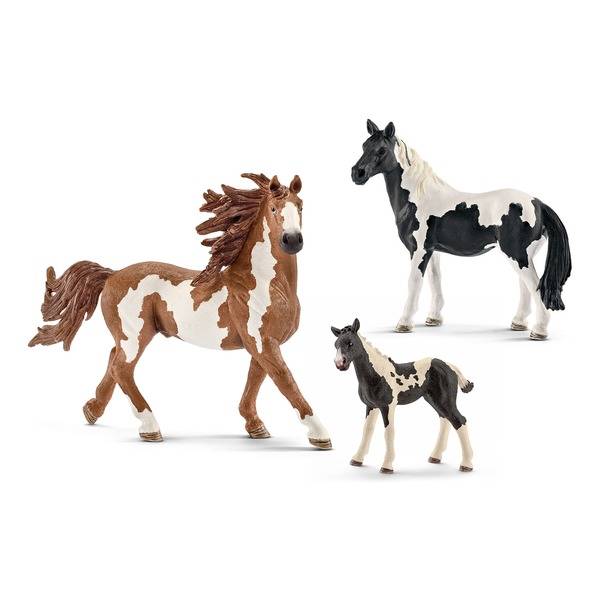 4 основные породы мини-лошадей: описания и особенности