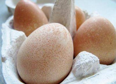 Яйца цесарки польза и вред
