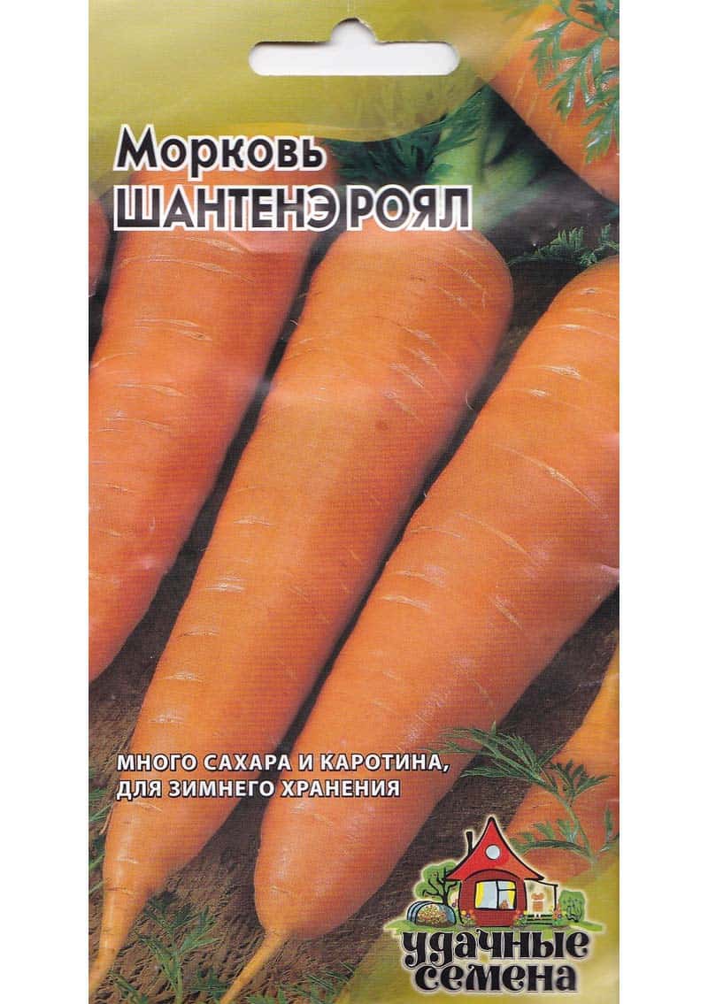 Посадка моркови под зиму: осенью, сроки посадки, сорта, инструкция, видео﻿