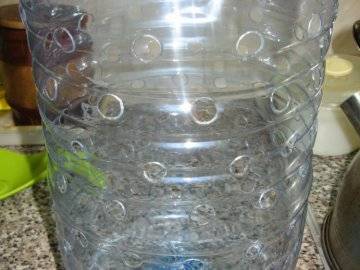 Как вырастить зелёный лук в пластиковой бутылке на подоконнике — выгонка лука на перо: описание и фото