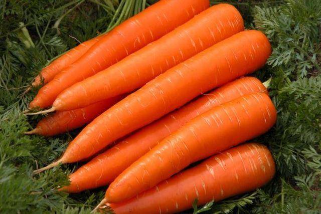 Когда сажать морковь весной в открытый грунт по лунному календарю в апреле 2021 года: самые благоприятные дни