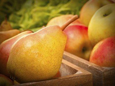 Как правильно хранить сушеные яблоки на зиму: где и в чем? русский фермер
