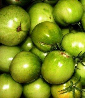 Эффективные удобрения при посадке помидор
