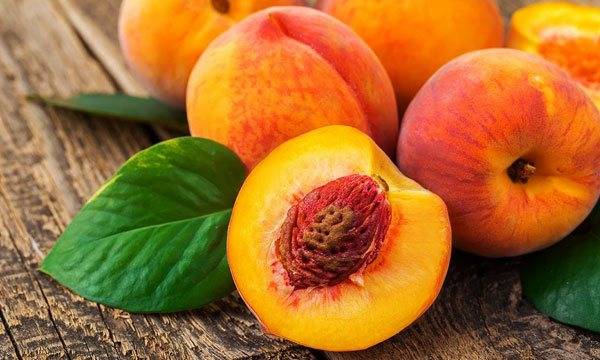 Как вырастить персик из косточки?