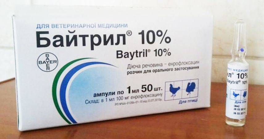 Антибиотик для индюков: как давать препараты