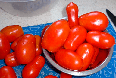Томат челнок: характеристика и описание сорта, отзывы о выращивании помидор, фото полученного урожая