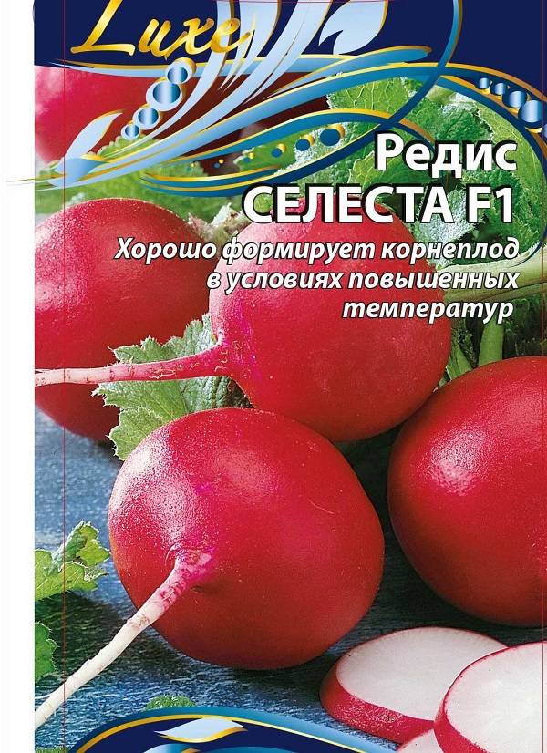 Редис селеста f1: описание сорта, особенности выращивания
