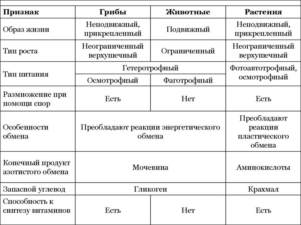 Чем отличается клетка показанная на рисунке от клеток грибов растений и животных тест с ответами