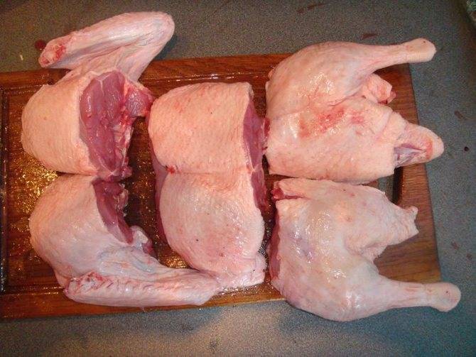 Польза и вред мяса утки